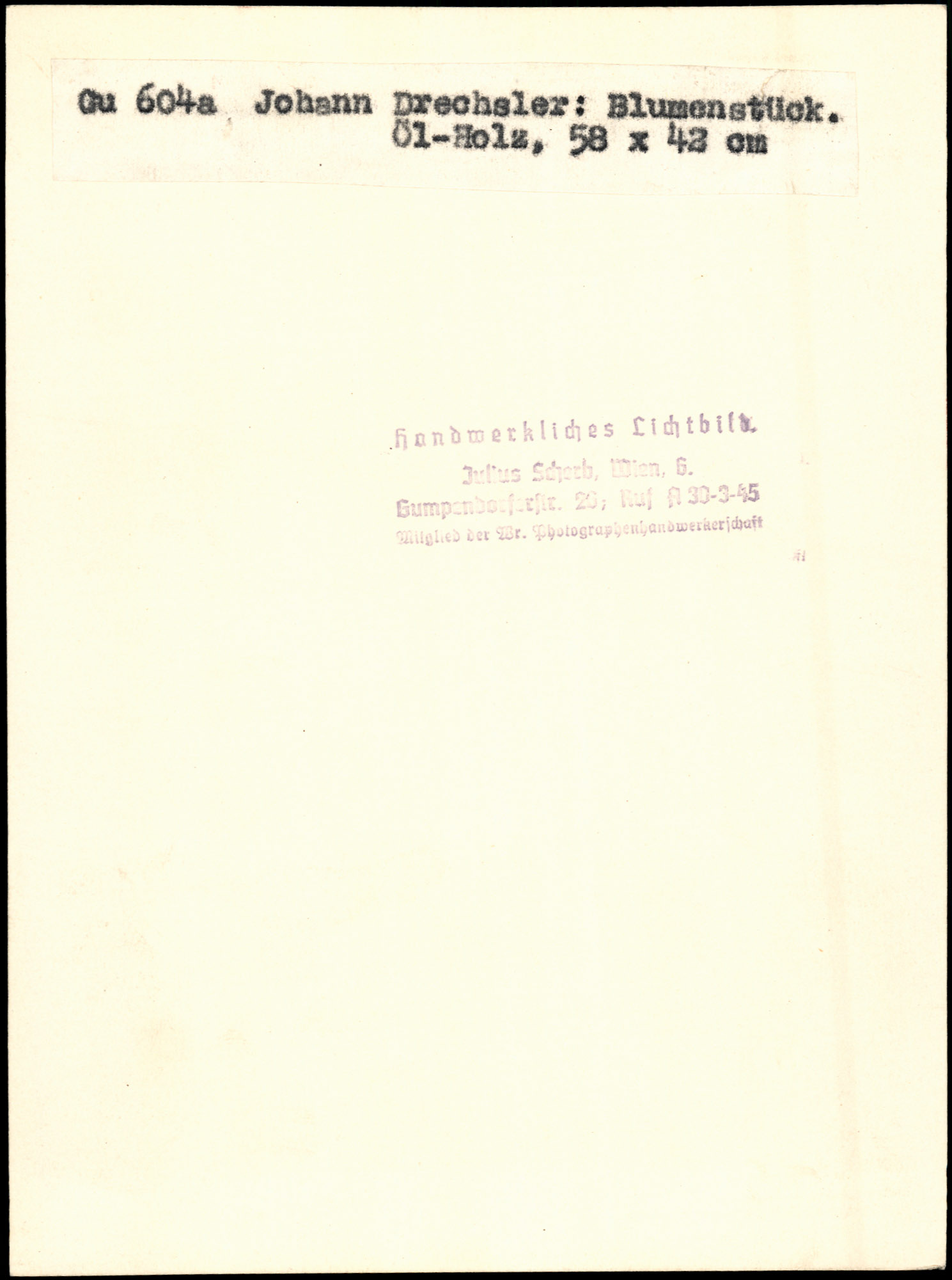 AR_XIII_ZDK_BDA_GU_604_a_2.jpg