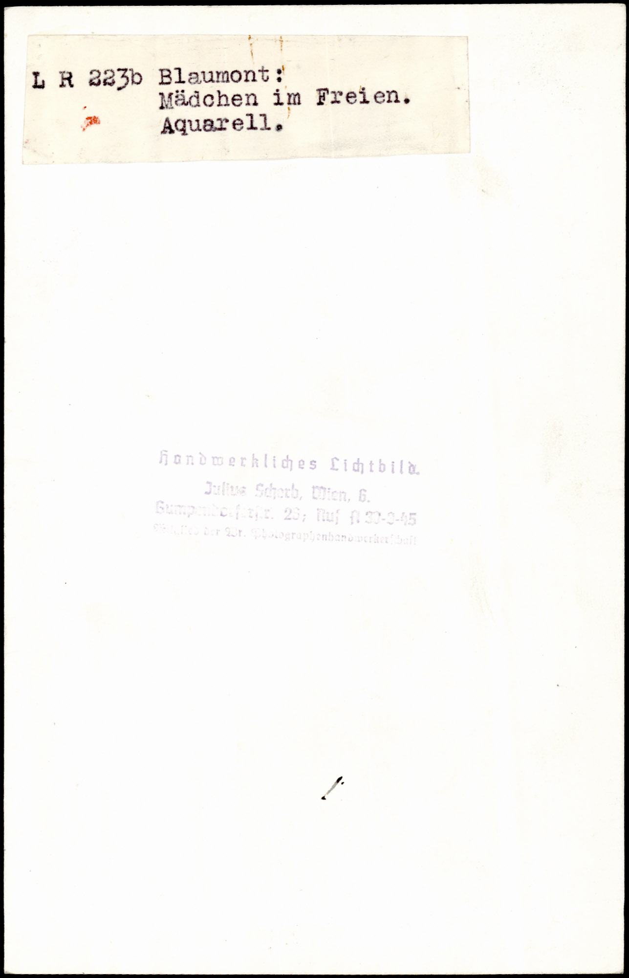 AR_XIII_ZDK_BDA_LR_223_b_2.jpg