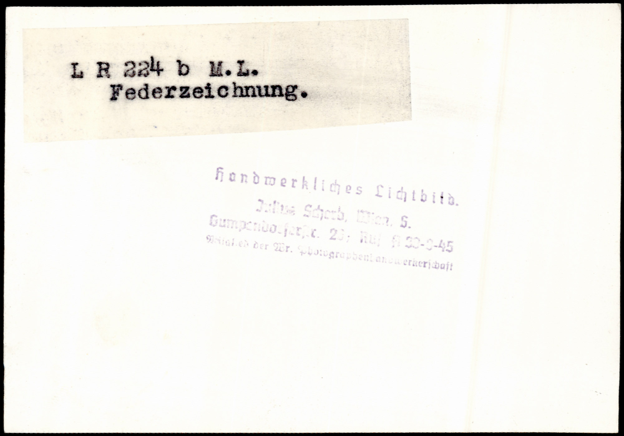 AR_XIII_ZDK_BDA_LR_224_b_4.jpg