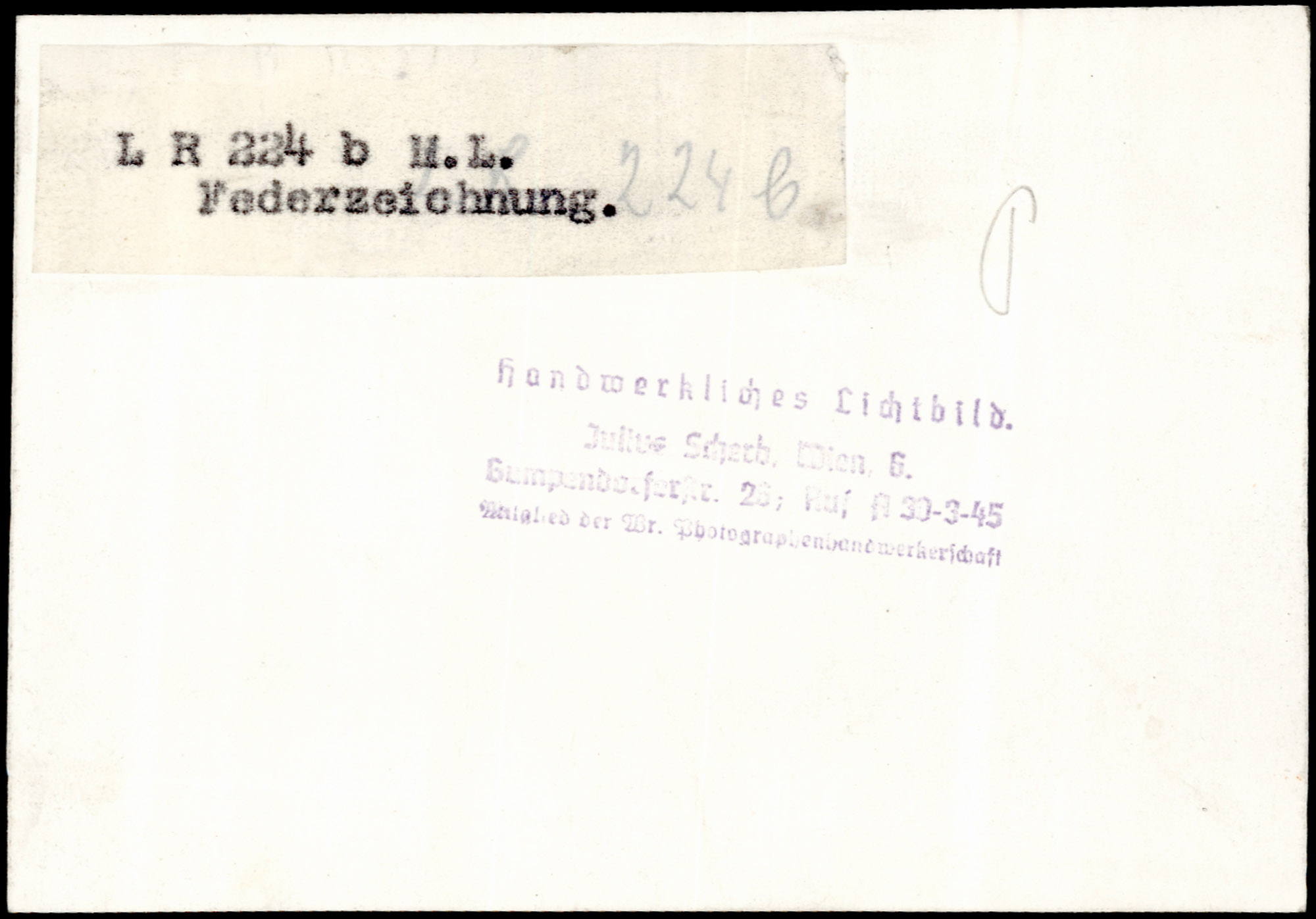 AR_XIII_ZDK_BDA_LR_224_b_8.jpg