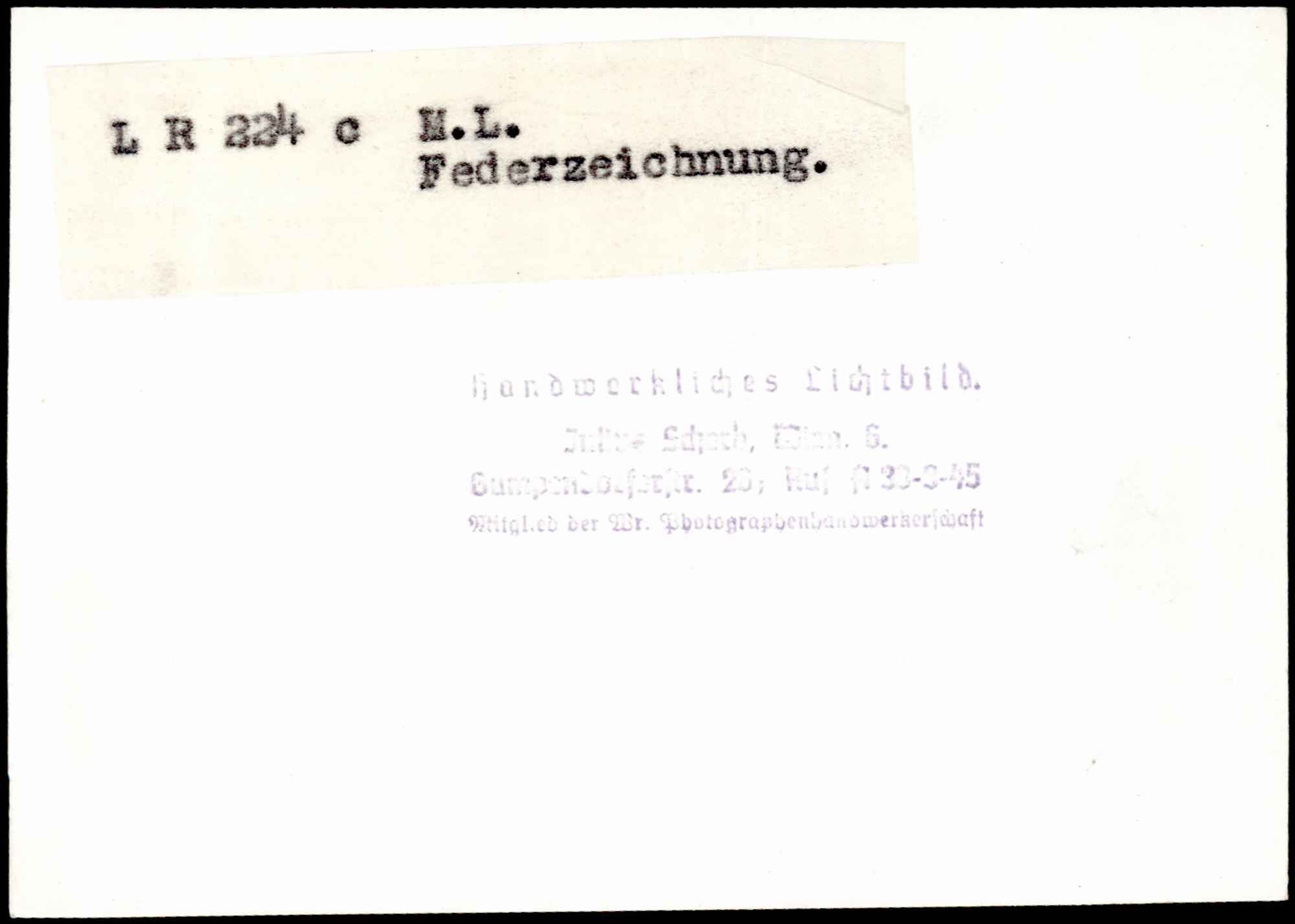 AR_XIII_ZDK_BDA_LR_224_c_4.jpg