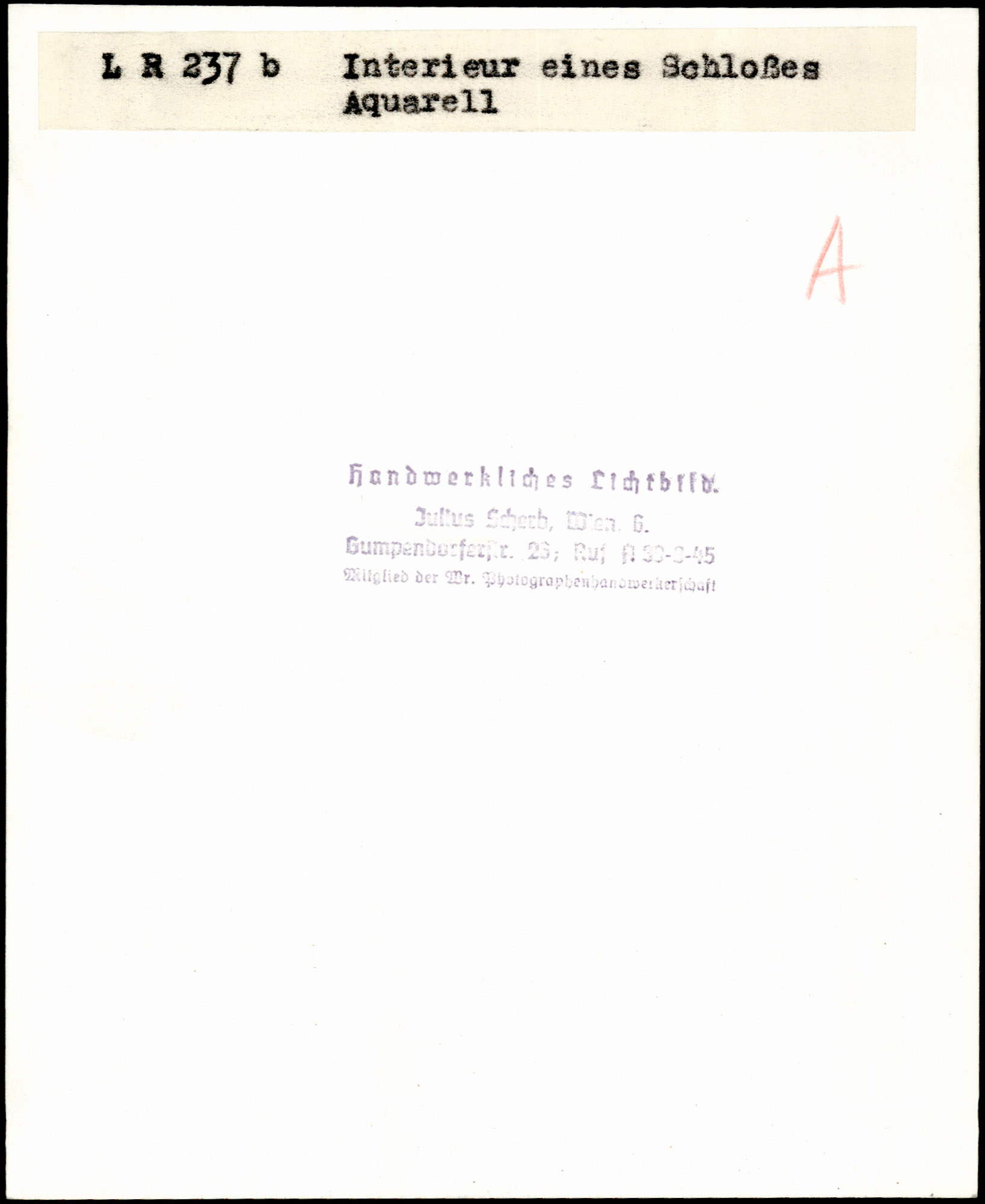 AR_XIII_ZDK_BDA_LR_237_b_4.jpg