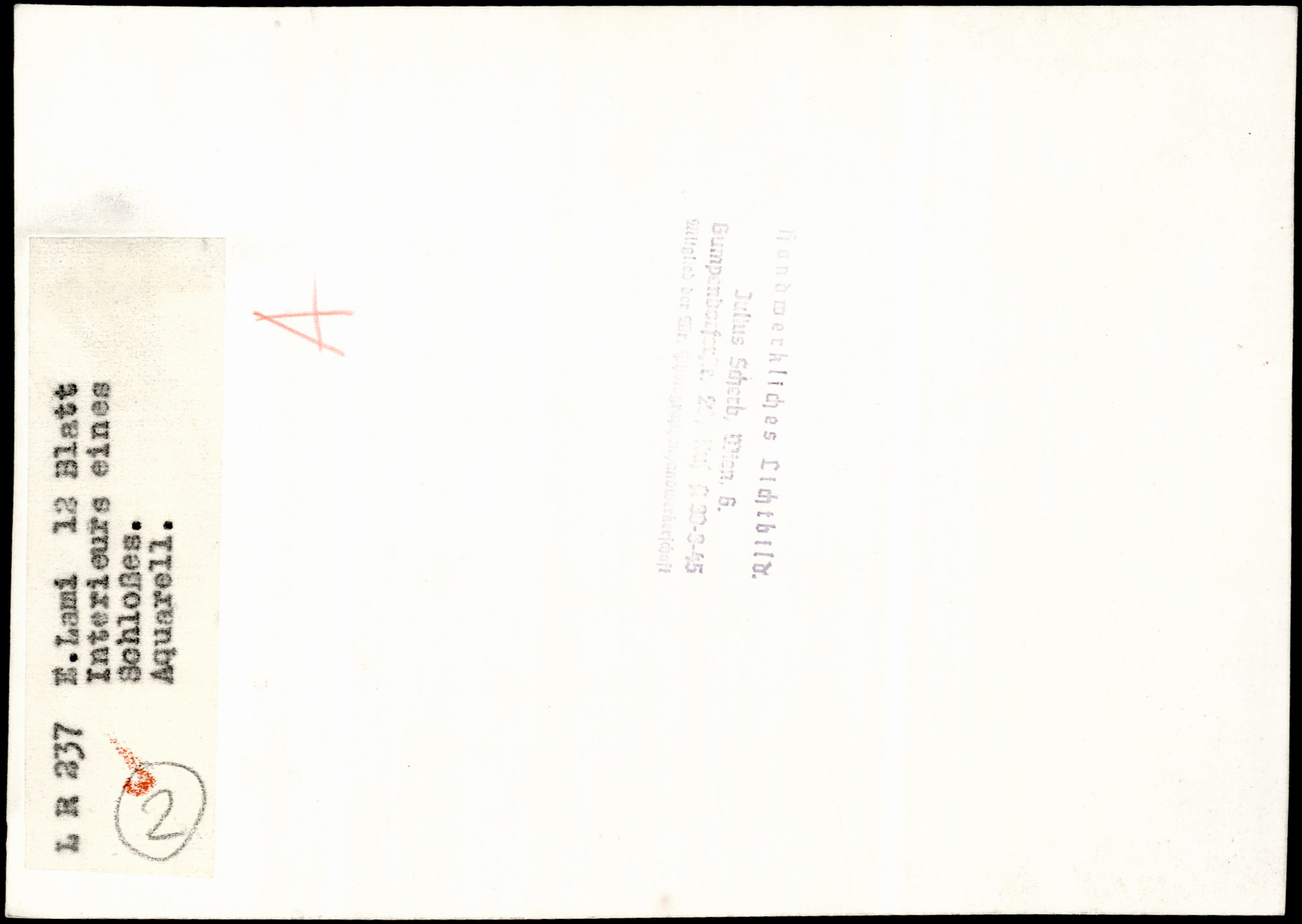 AR_XIII_ZDK_BDA_LR_237_l_4.jpg