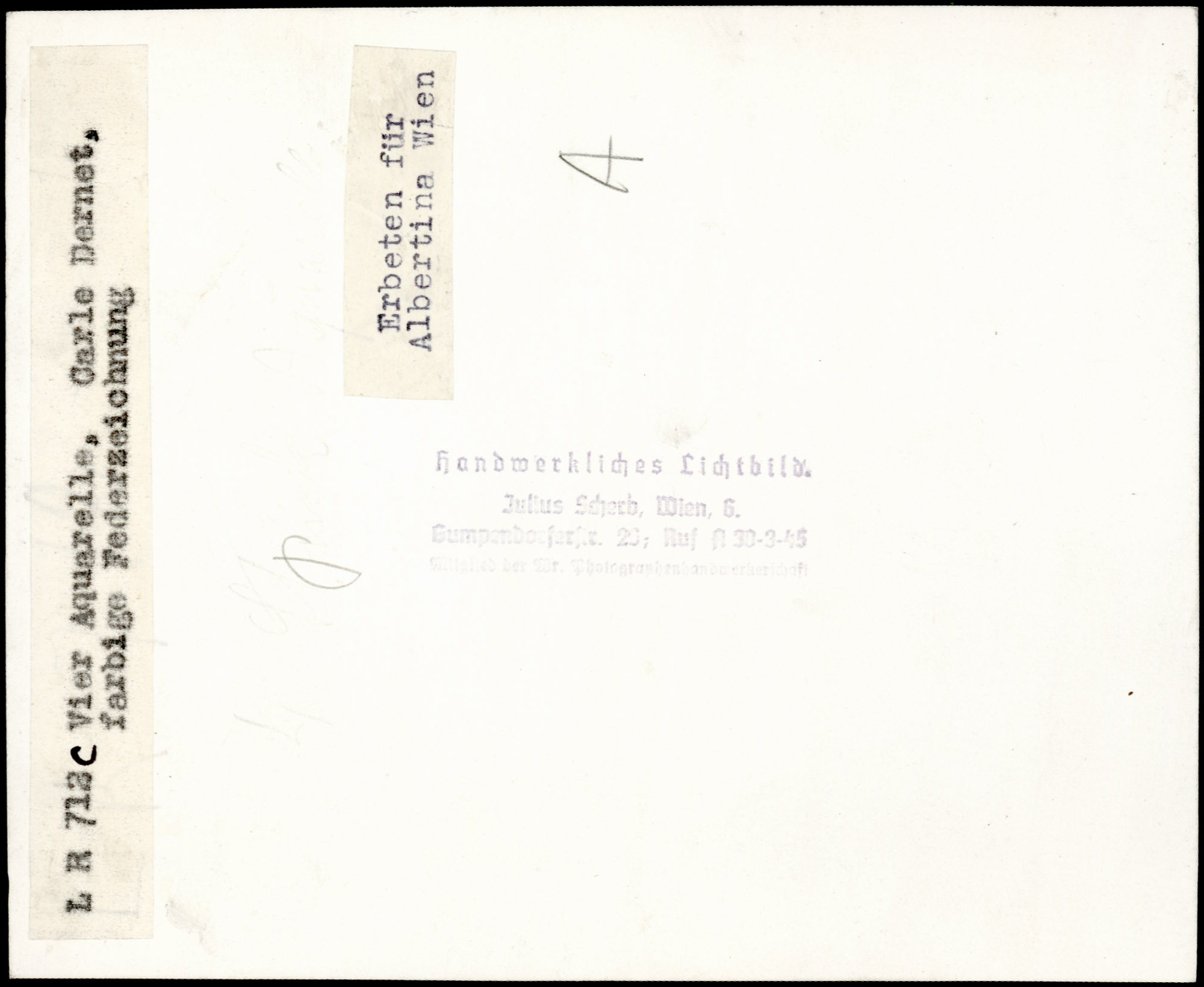 AR_XIII_ZDK_BDA_LR_712_c_2.jpg