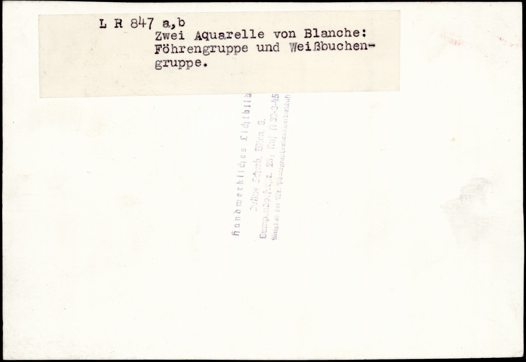 AR_XIII_ZDK_BDA_LR_847_ab_2.jpg