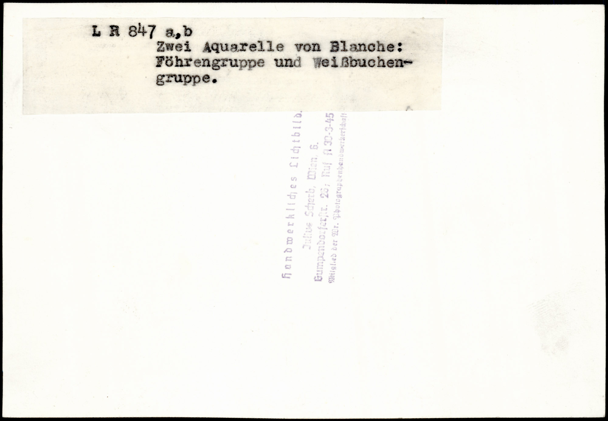 AR_XIII_ZDK_BDA_LR_847_ab_4.jpg