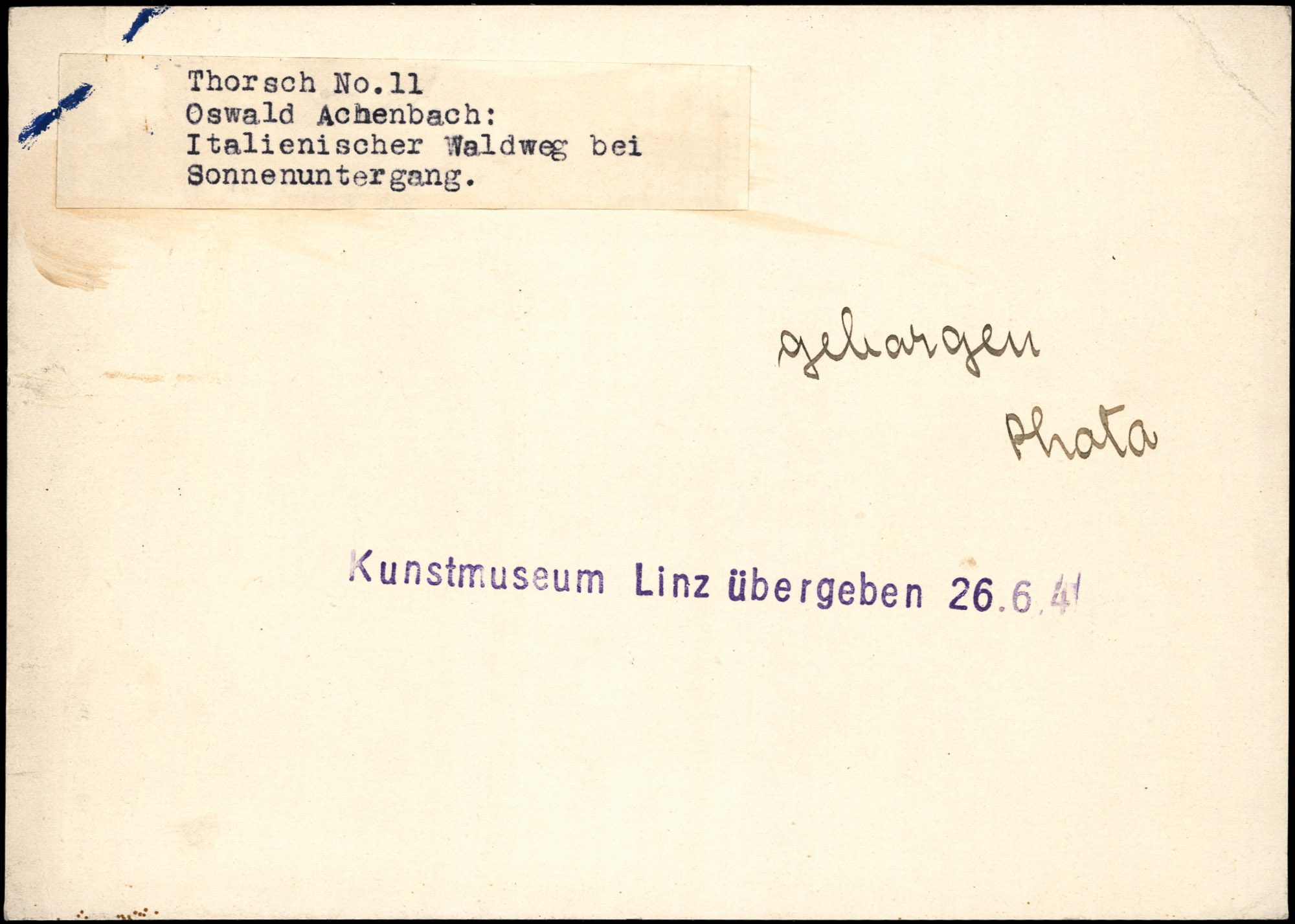 AR_XIII_ZDK_BDA_Thorsch_11_1.jpg