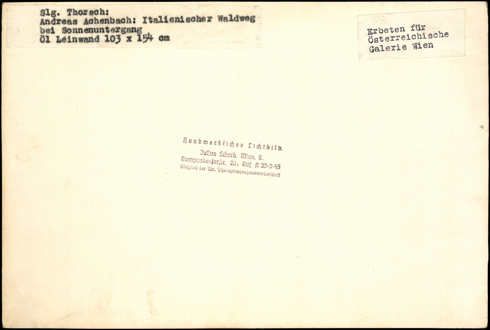 AR_XIII_ZDK_BDA_Thorsch_11_4.jpg