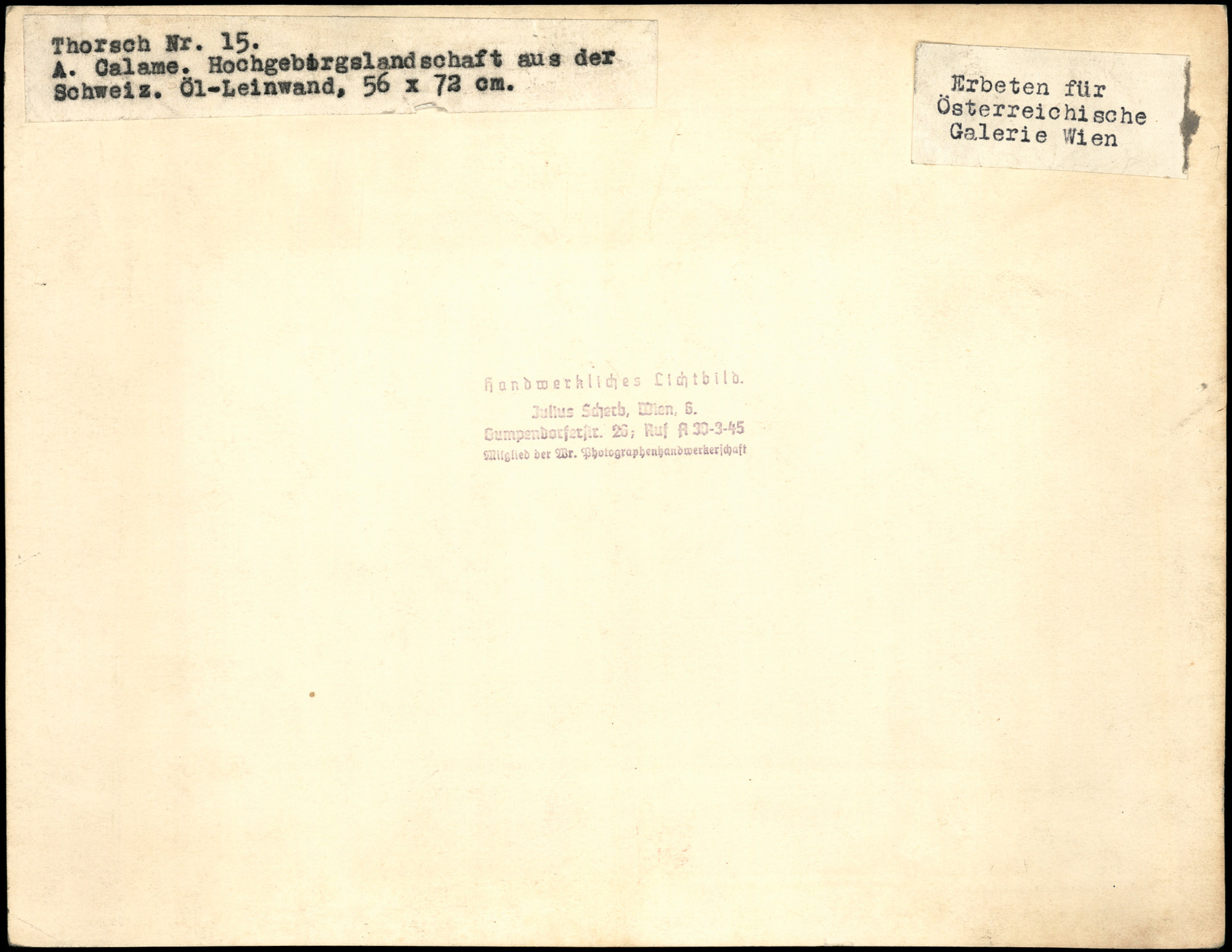 AR_XIII_ZDK_BDA_Thorsch_15_2.jpg