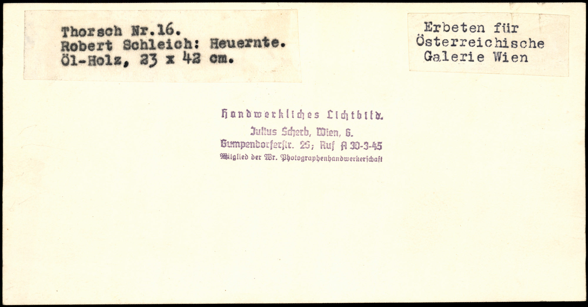 AR_XIII_ZDK_BDA_Thorsch_16_2.jpg