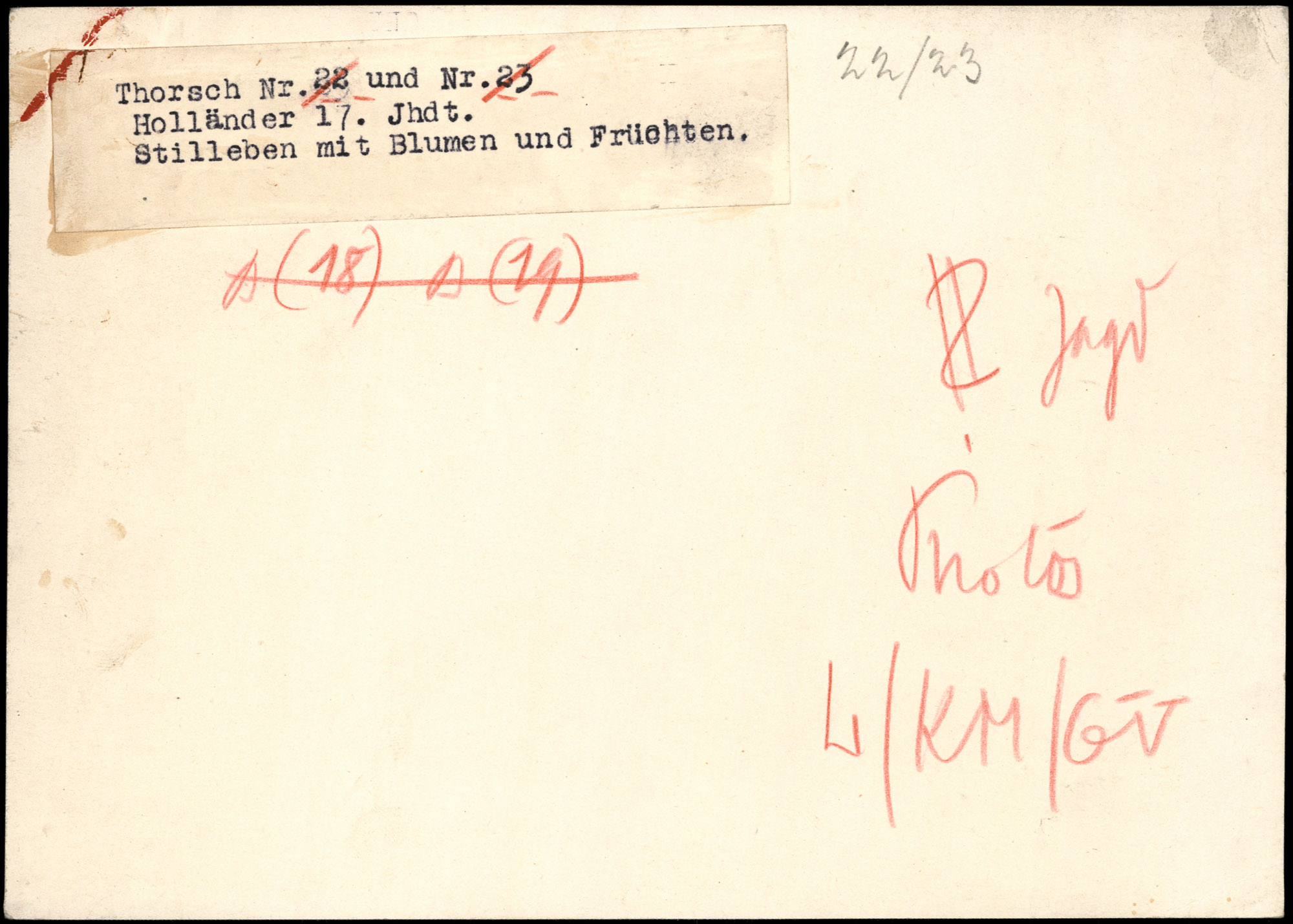 AR_XIII_ZDK_BDA_Thorsch_22_1.jpg