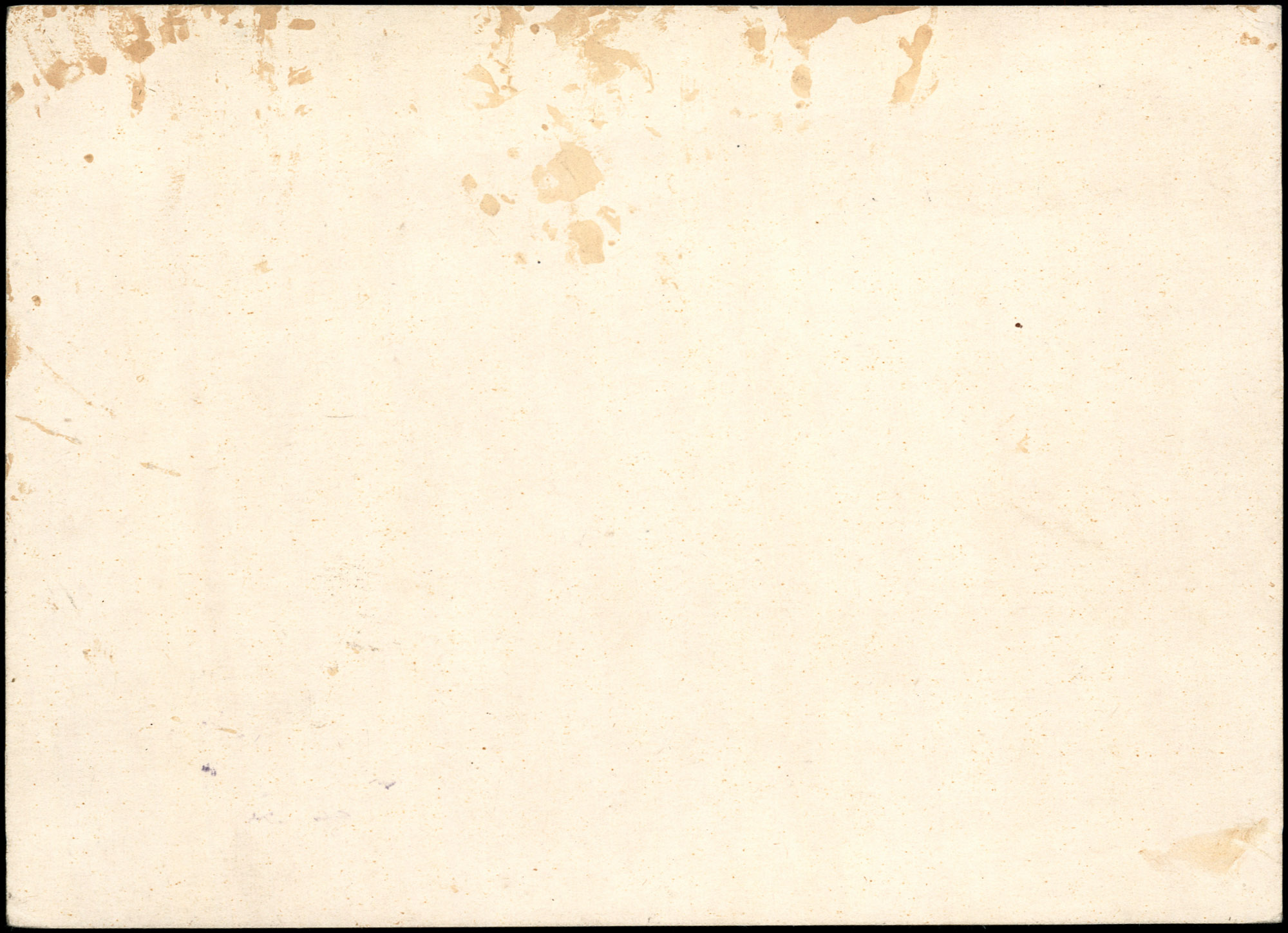 AR_XIII_ZDK_BDA_Thorsch_29_2.jpg