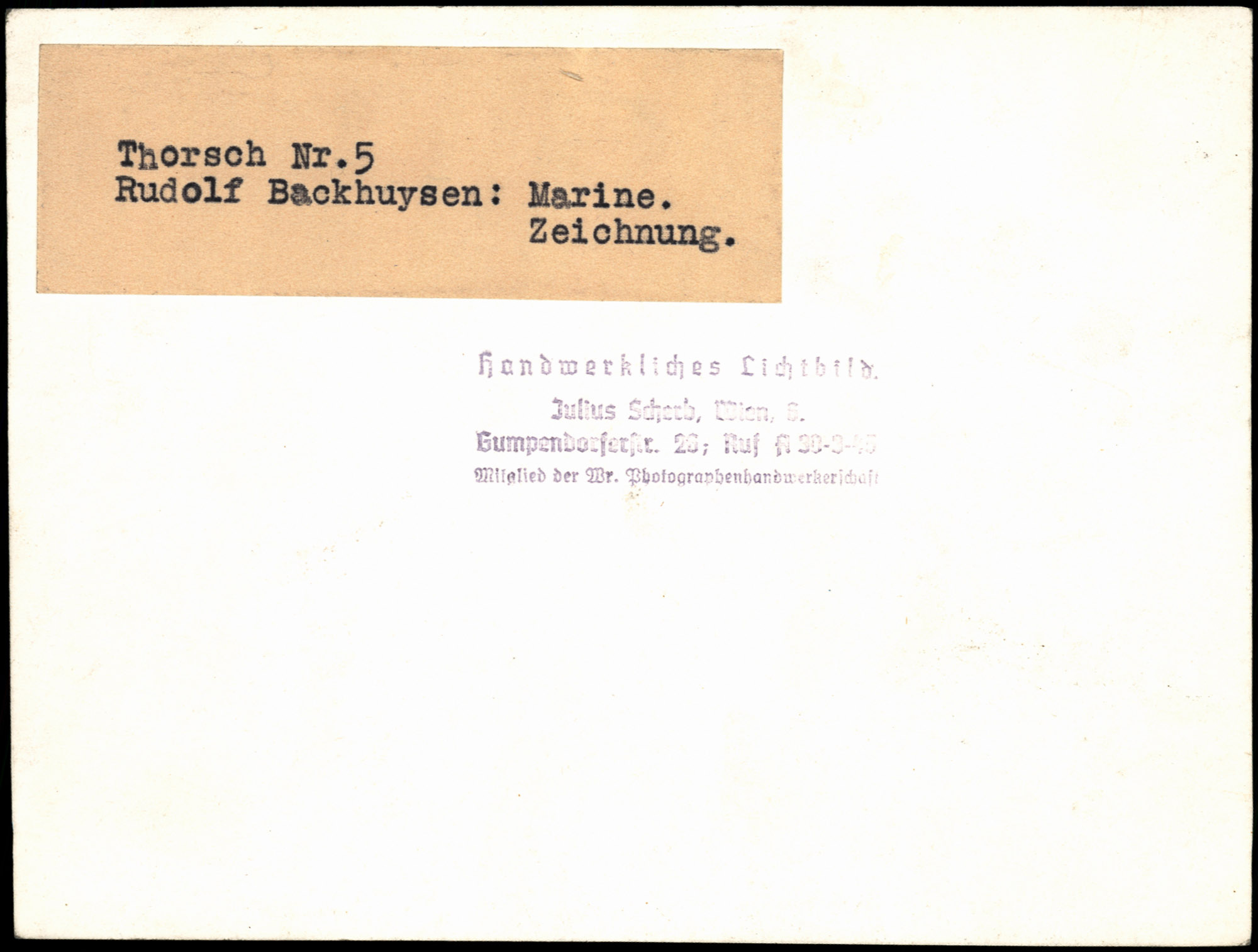 AR_XIII_ZDK_BDA_Thorsch_5_4.jpg
