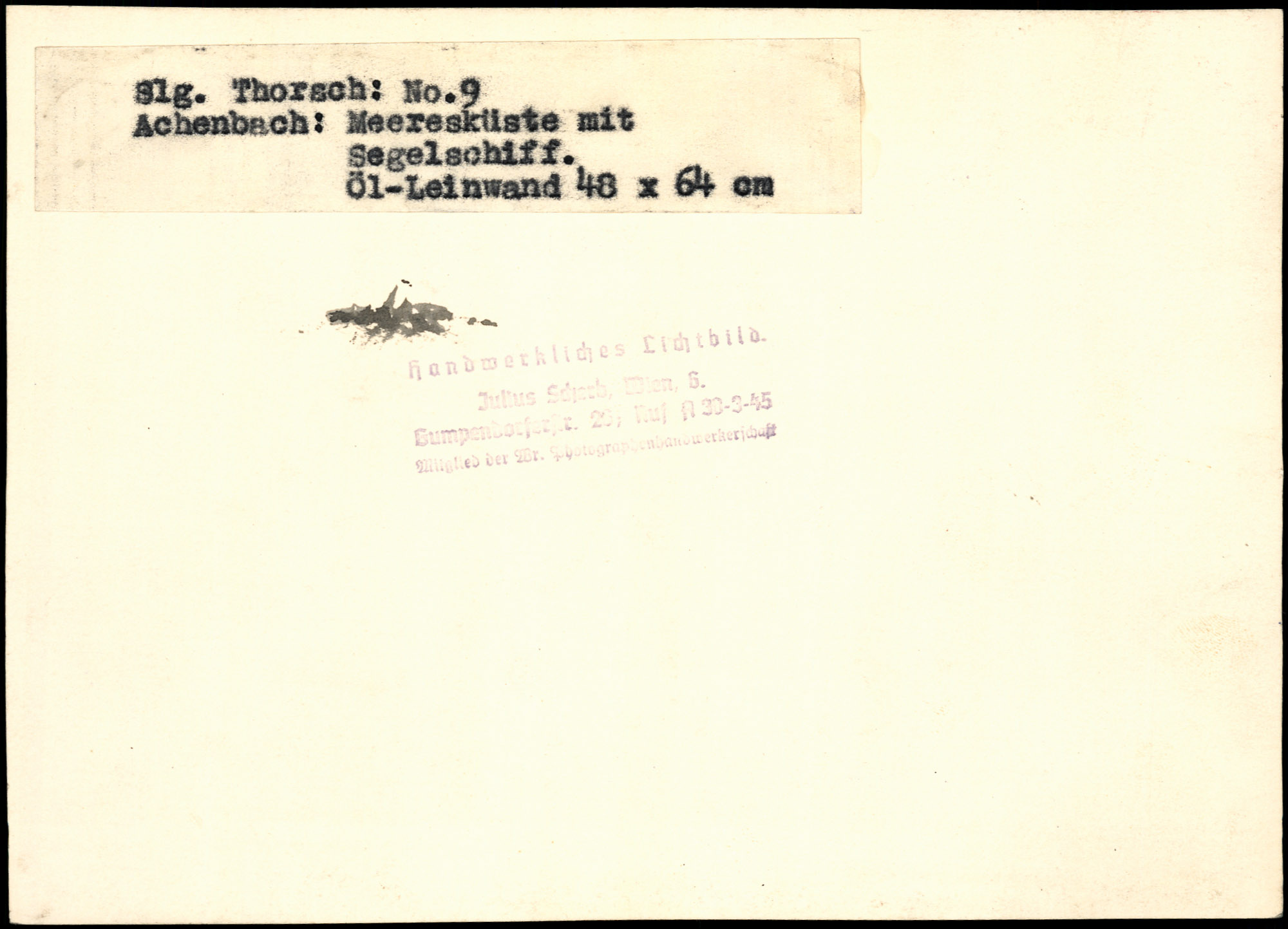 AR_XIII_ZDK_BDA_Thorsch_9_4.jpg